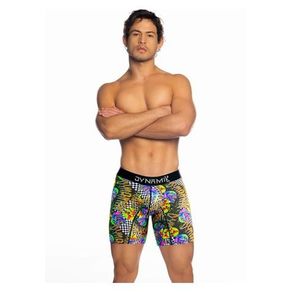 dynamik-5733-7681891-1-catalog-new